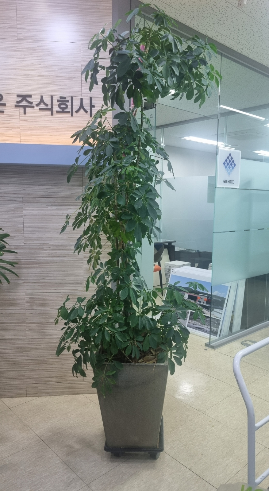 콤마 사진 5