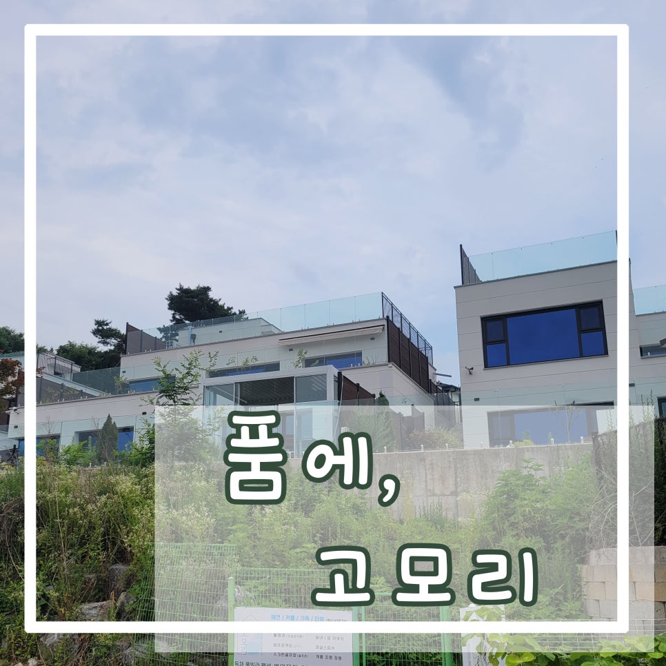 품에 고모리 사진 1