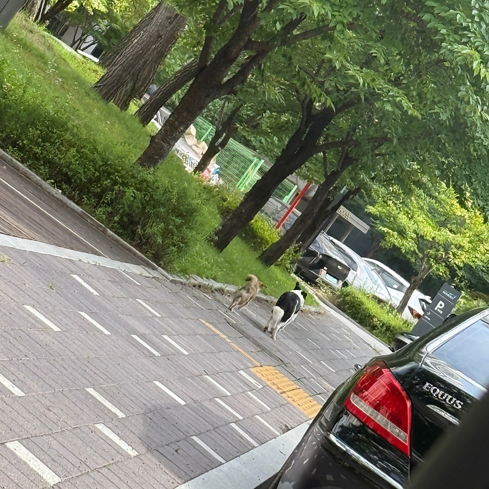 미미초밥 사진 2