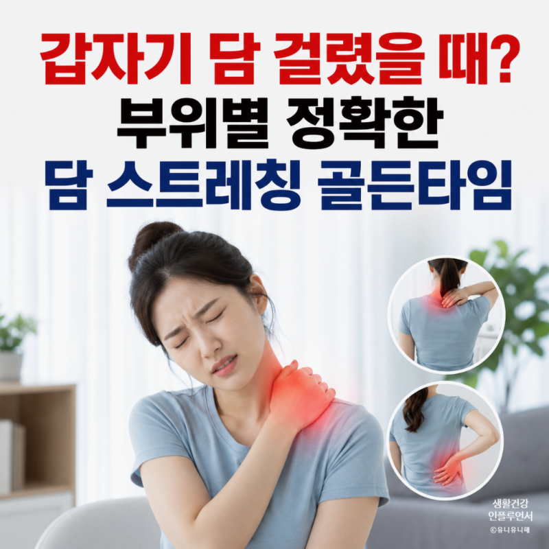 갑자기 담걸렸을 때, 등 목 어깨 담푸는법! 부위별 스트레칭 관리법