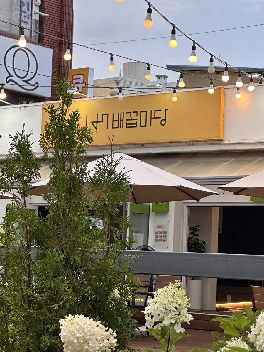 배꼽 사진 5
