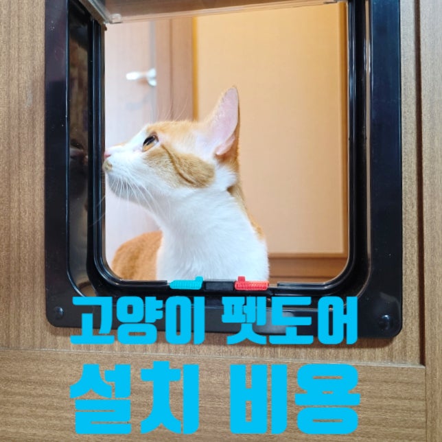 고양이 펫도어 시공 방문 설치 업체 비용