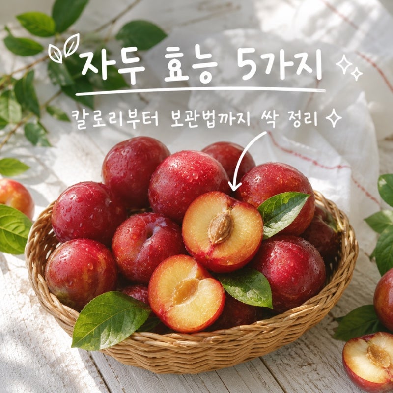 자두 효능 5가지 칼로리부터 보관법까지 싹 정리
