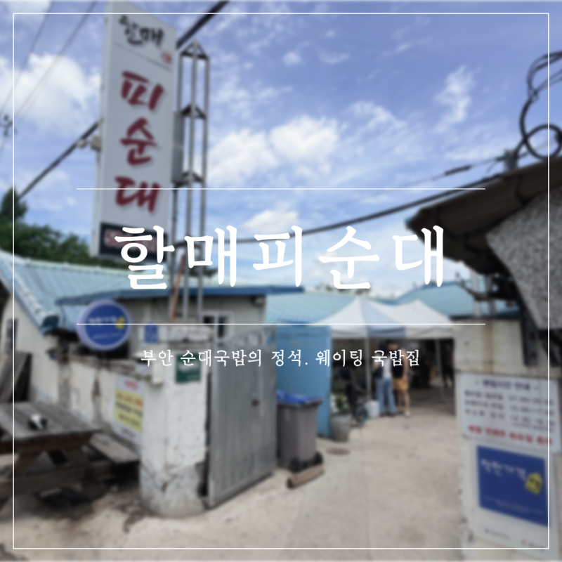 [부안] 현지인 맛집 '할매피순대' 웨이팅 순대국밥