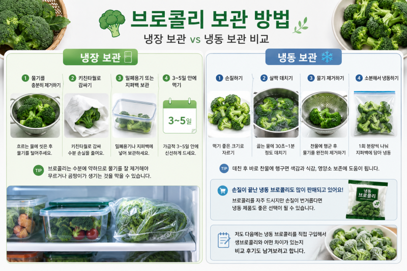 브로콜리 효능 총정리｜손질법·보관법·신선하게 오래 먹는 법