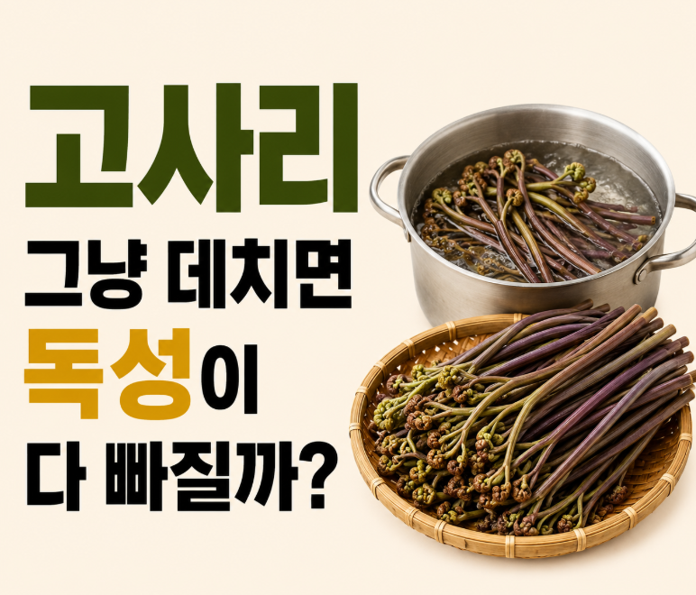 그냥 데치면 독성이 다 빠질까? 고사리 프타퀼로사이드 제거법과 삶는 시간부터 손질 후 요....