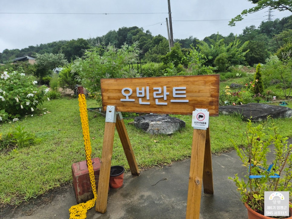 오빈란트 사진 4