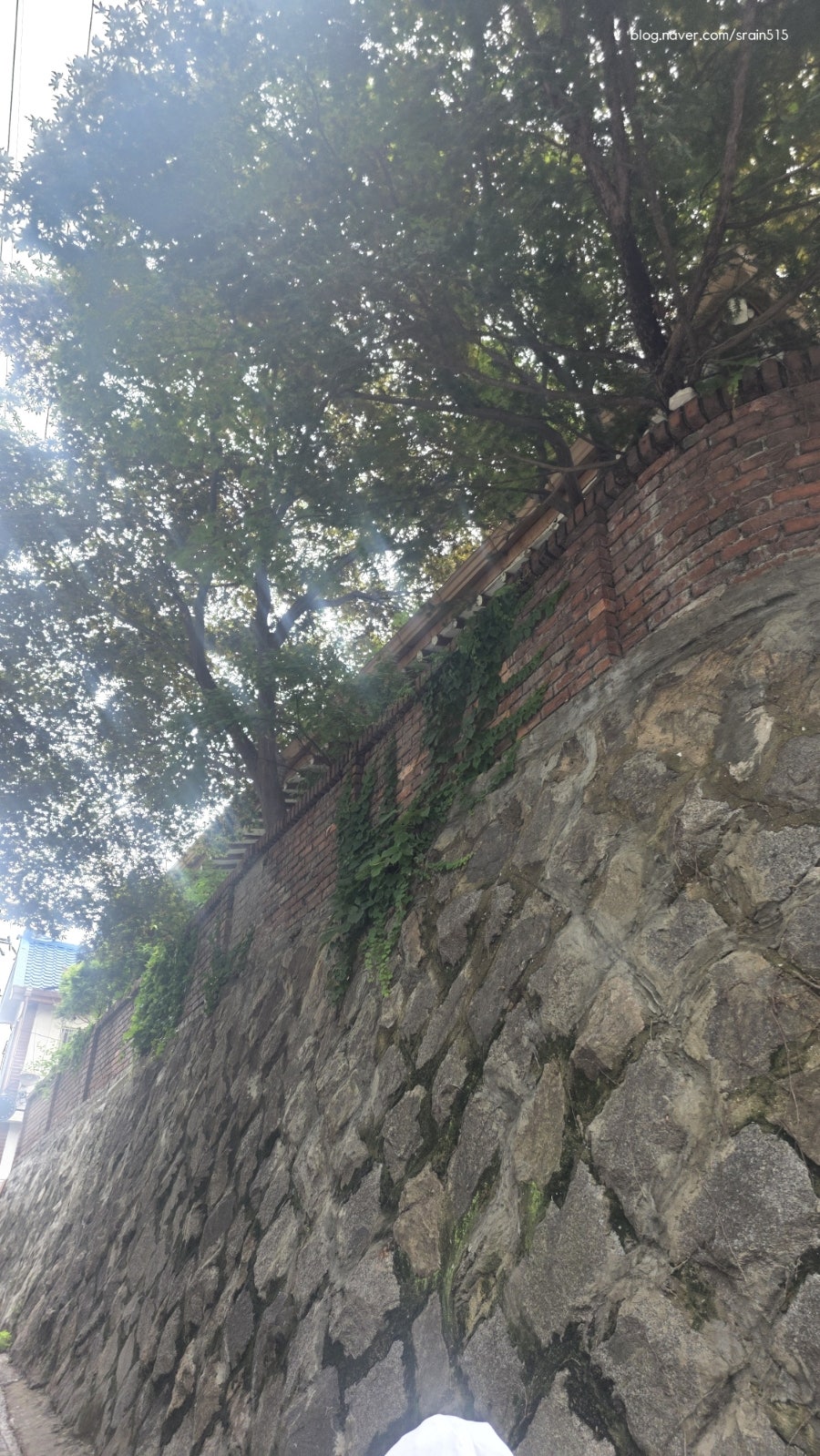 오프닝포트 사진 5