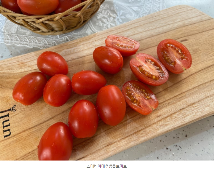 청년창업농·후계농 자금 신청부터 준비 팁까지! 미래를 일구는 청년 농부의 솔직 가이드