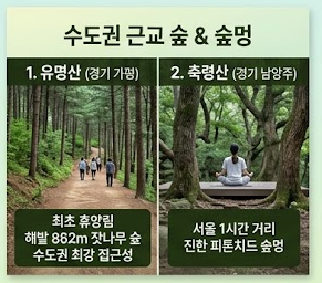 휴양림 24편 / 가성비 자연휴양림 TOP5 — 4만원대부터, 숲에서 쉬어가는 힐링 여행 (2026)