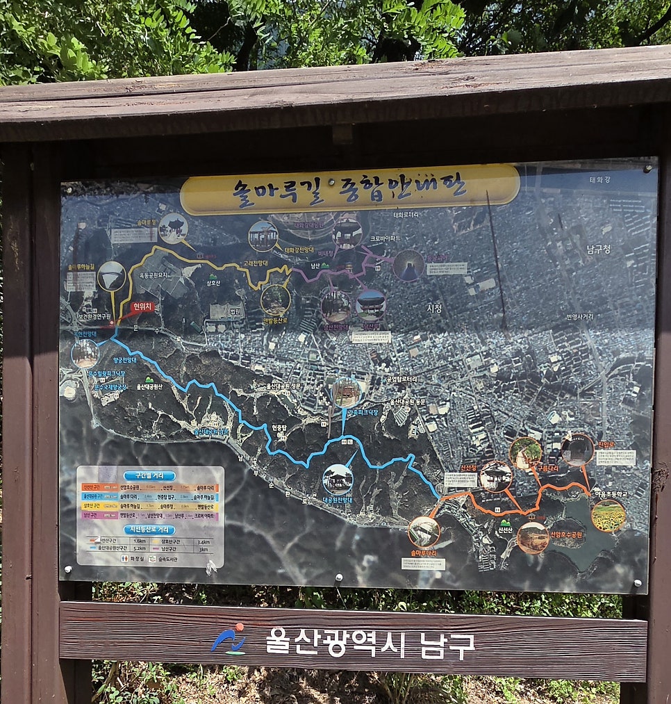 솔마루 사진 4