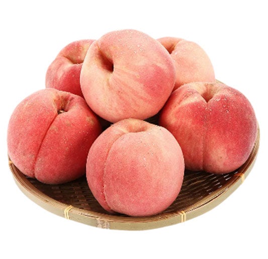 복숭아 보관법 냉장 보관과 실온 보관 차이 제대로 알아보기