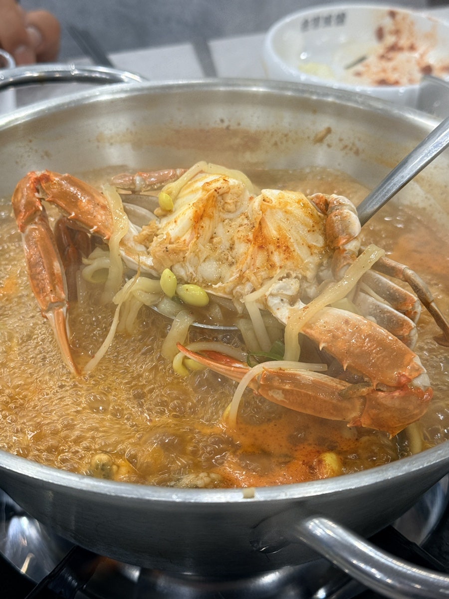 해물칼국수 사진 5
