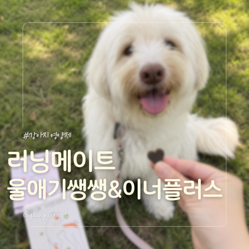 강아지 종합영양제 추천, 7살 대형견 울애기쌩쌩 & 이너플러스 후기