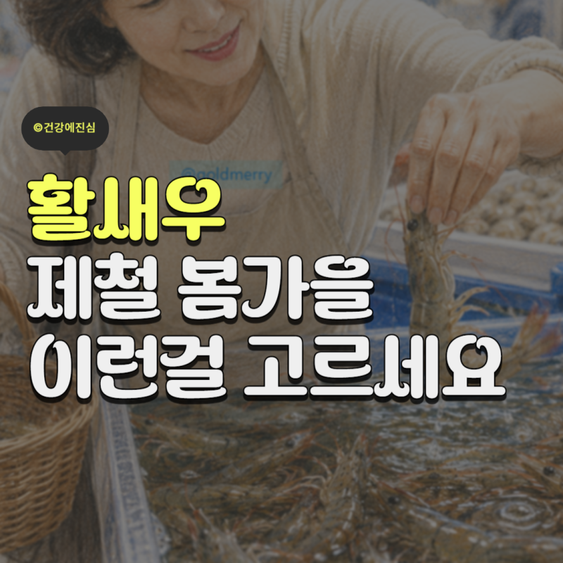 활새우 제철 시기와 효능 4가지 알고 먹어야 신선해요