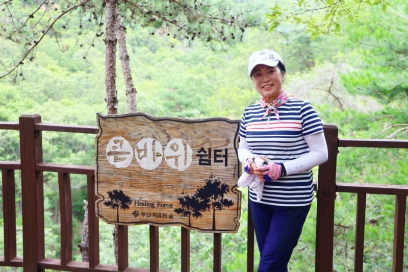 부산 치유의숲 둘레길 - 가벼운 산행과 힐링숲길 산책