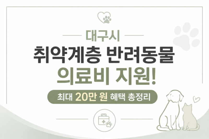 대구시 취약계층 반려동물 의료비 지원! 최대 20만 원 혜택 총정리