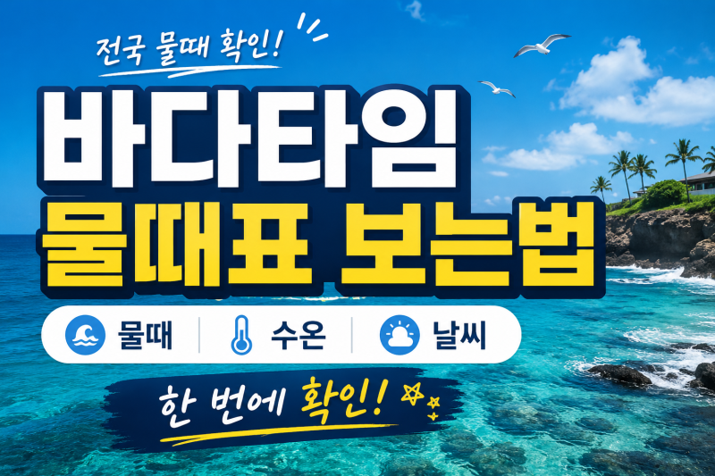 바다타임 물때표 보는법｜물때·수온·날씨 확인하기