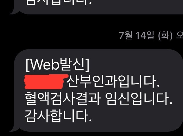 [임신] 임신 극초기 증상, 아기집 안보이는 경우, 자궁외임신 원인 및 증상
