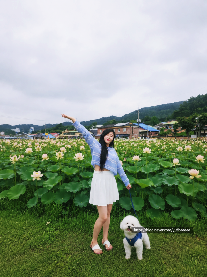 Daejeon Vicinity Drive: Perfect for July! Free Admission Drive & Walk Near Daejeon! Okcheon Yukyeong...