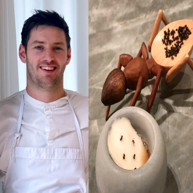 The Restaurant That Earned 120 Million KRW Selling Ant Desserts? 'Black and White Chef' Michelin 2-Star Chef Sentenced to 1 Year in Prison...
