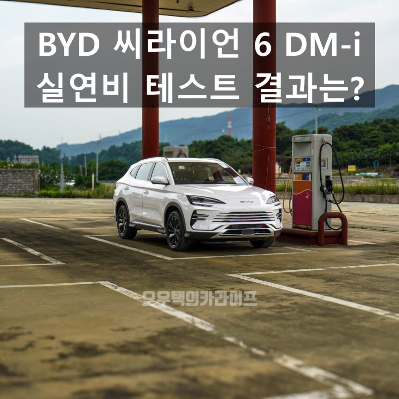"이 가격에 이 연비가 진짜라고?" BYD 씨라이언 6 DM-i 800km 실주행 실연비 팩트체크
