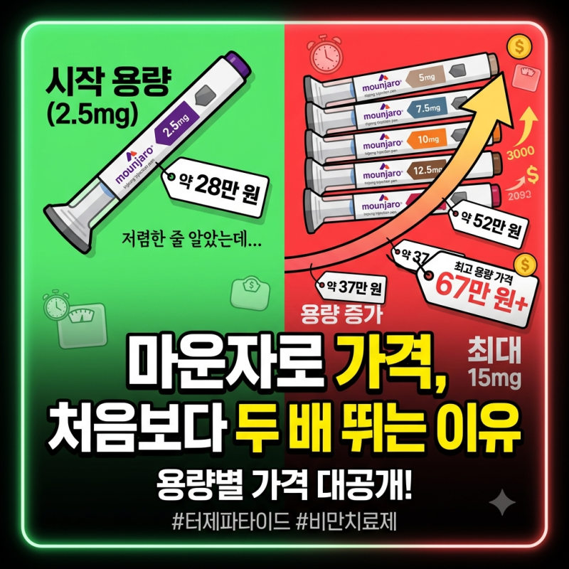 마운자로 가격