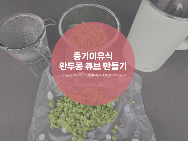 이유식레시피ㅣ중기 두유제조기 완두콩 큐브 레시피