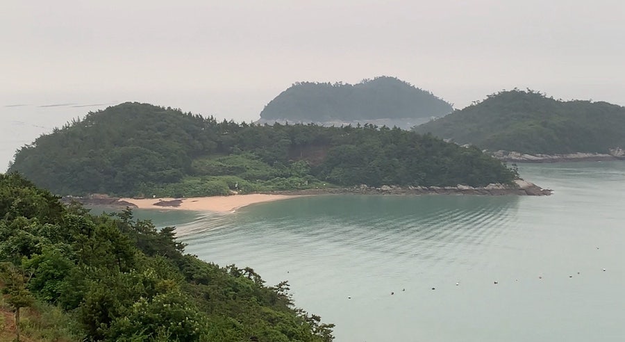 가든다담 사진 3
