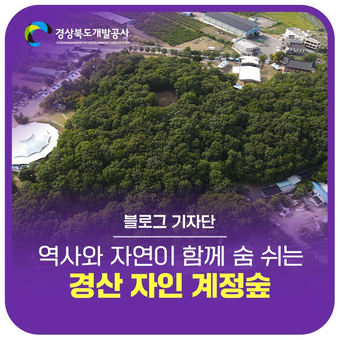 [慶山必訪景點] 歷史與自然共存的平地天然林：慶山慈仁桂亭林散步