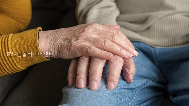 효드림실버케어센터 사진 5