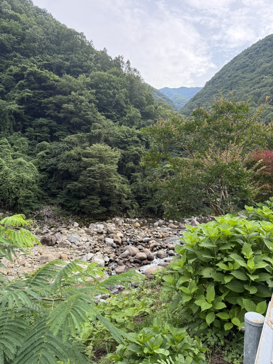해오름펜션 사진 6