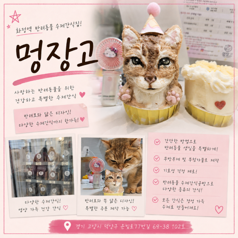 [고양/화정] 화정역 고양이 강아지케이크! 다양한 고양이 수제간식 맛집 | 고양 덕양구 멍장....