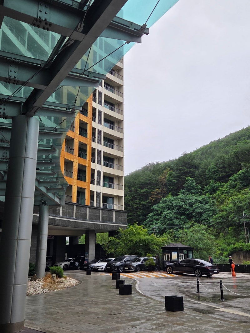 정선 메이힐스리조트 후기 (+아쉬운 점)