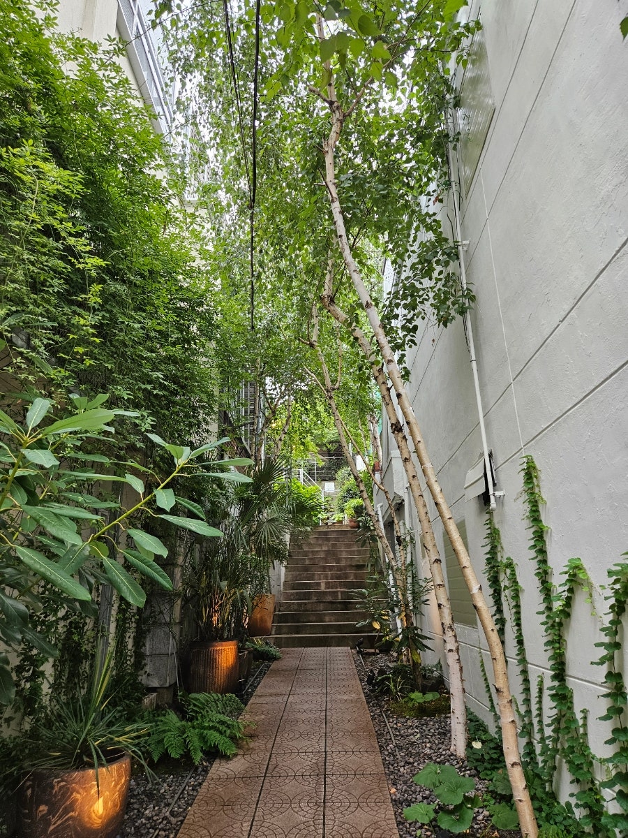 성당못 빌 사진 3