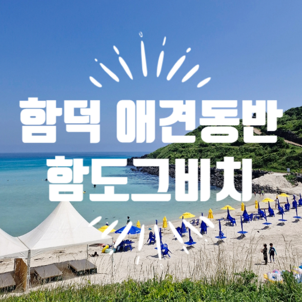 제주 함덕 애견 동반 해수욕장 끝판왕 '함도그비치' (위치,주차,배달,파라솔)
