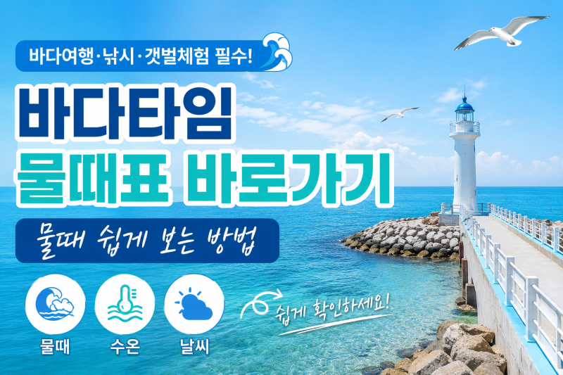 바다타임 물때표 바로가기｜물때 쉽게 보는 방법