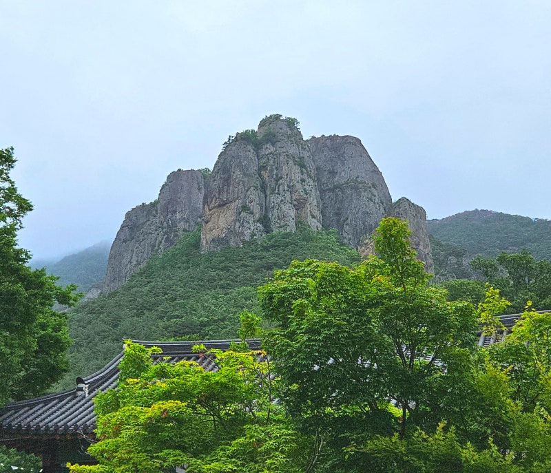 청송 주왕산 등산, 웅장한 기암괴석의 향연, 용추협곡, 용연폭포 후기