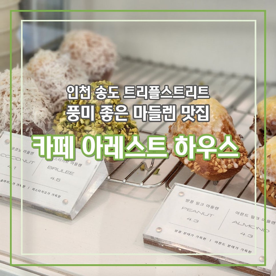 카페아레스트하우스 사진 1