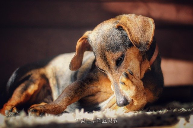 입암 온누리요양원 사진 2