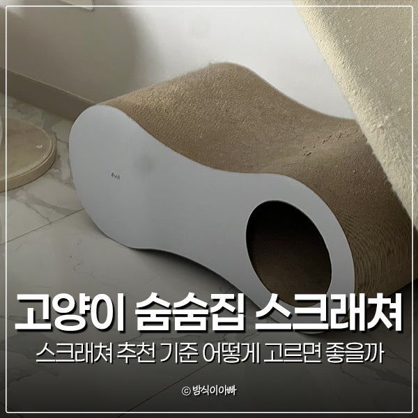 고양이 숨숨집 스크래쳐 추천 기준 어떻게 고르면 좋을까