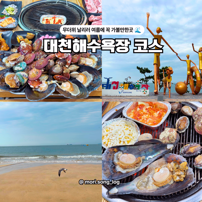 대천 가볼만한곳 해수욕장 조개구이 맛집, 2026 보령 머드축제 여행