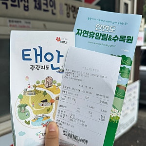 [안면도 관광지] 안면도 자연휴양림/수목원, 입장료부터 내부 구성까지 (feat. 무료입장 하는 ....