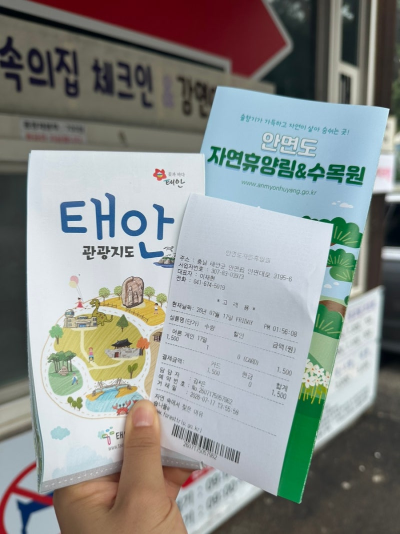 [안면도 관광지] 안면도 자연휴양림/수목원, 입장료부터 내부 구성까지 (feat. 무료입장 하는 ....