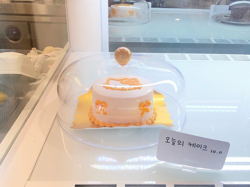 폰지 사진 6