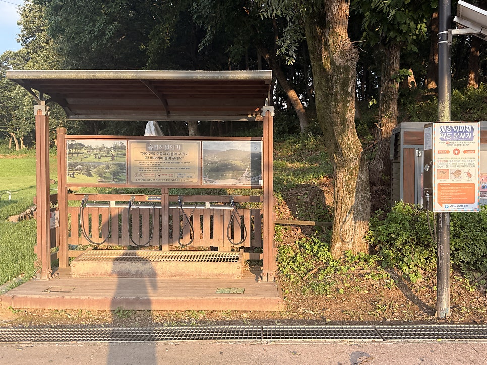 산책 사진 6