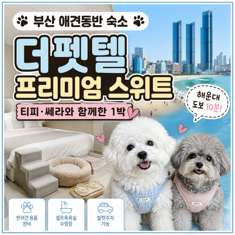 釜山寵物友善住宿The Petel Premium Suite使用心得