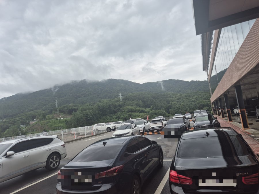 팜브릿지 사진 4