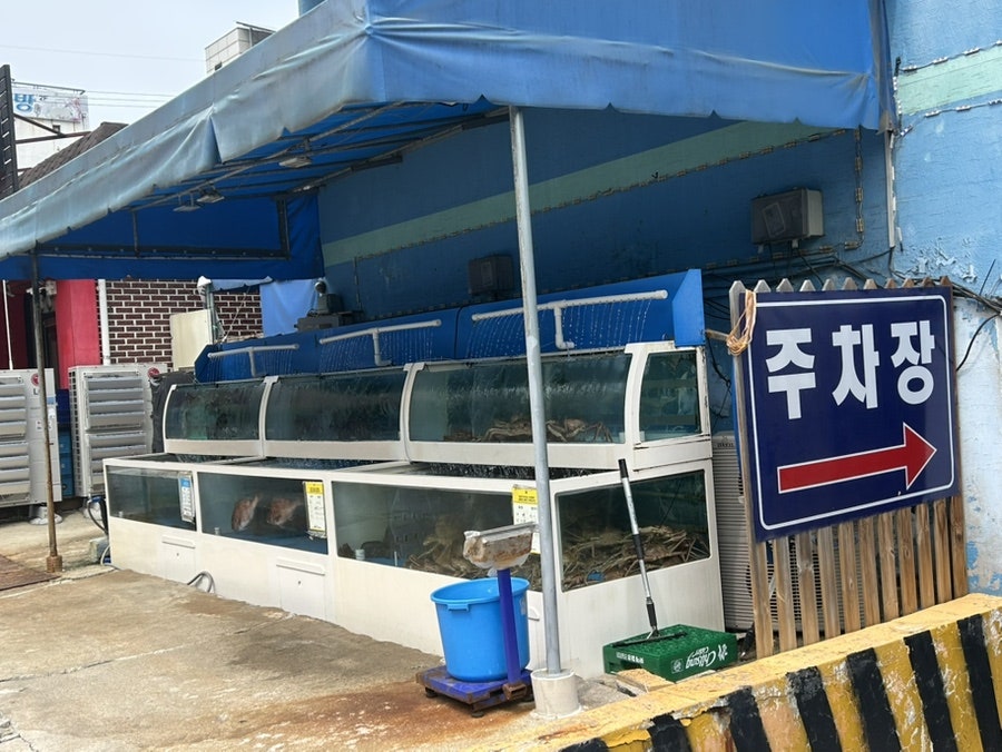 청해수산회천국 사진 2