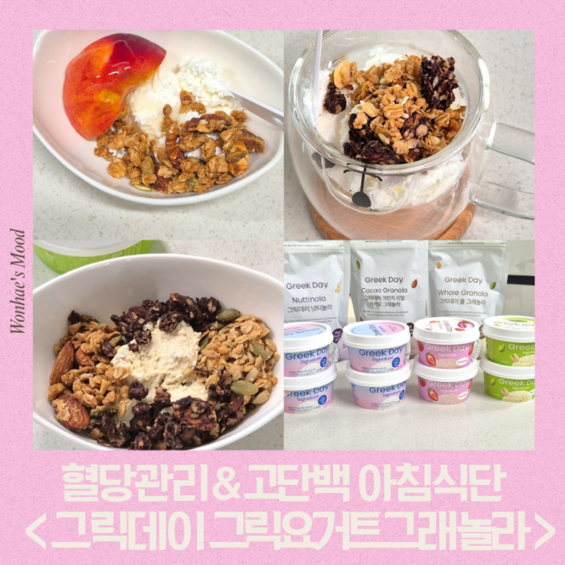그릭데이 그릭요거트 시그니처, 저당 그래놀라 조합 추천 직접 구입해 먹어본 솔직 후기